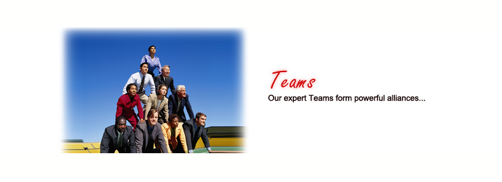Teams: our expert teams form powerful alliances